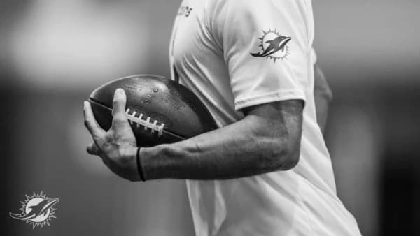 Miami Dolphins Reality Check