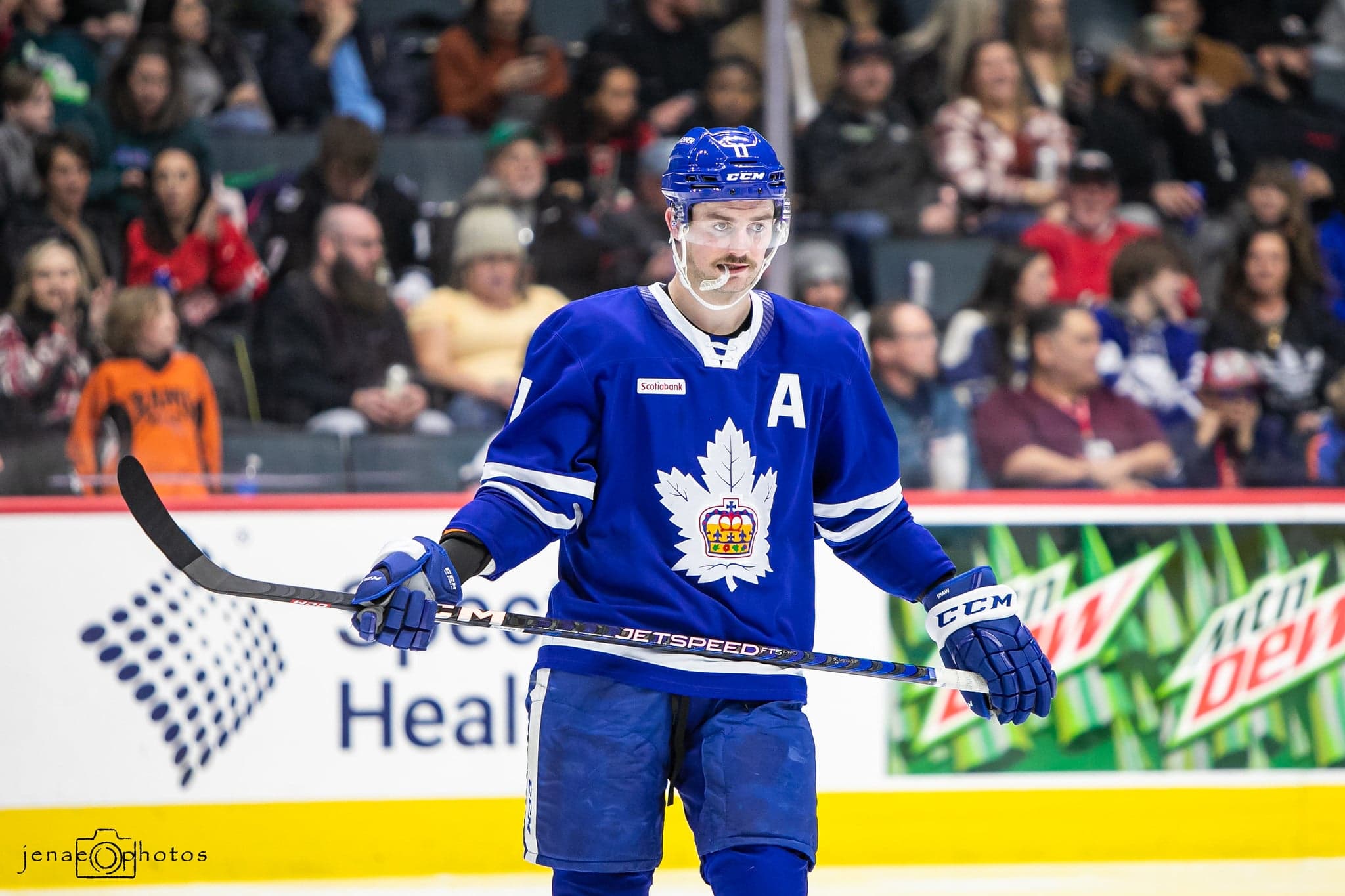 Toronto Maple Leafs News & Rumours: Shaw, Danford, Thrun, Eakins, Pavelski, Cassidy & Gruden - The Hockey Writers - Toronto Maple Leafs - NHL News, Analysis & More