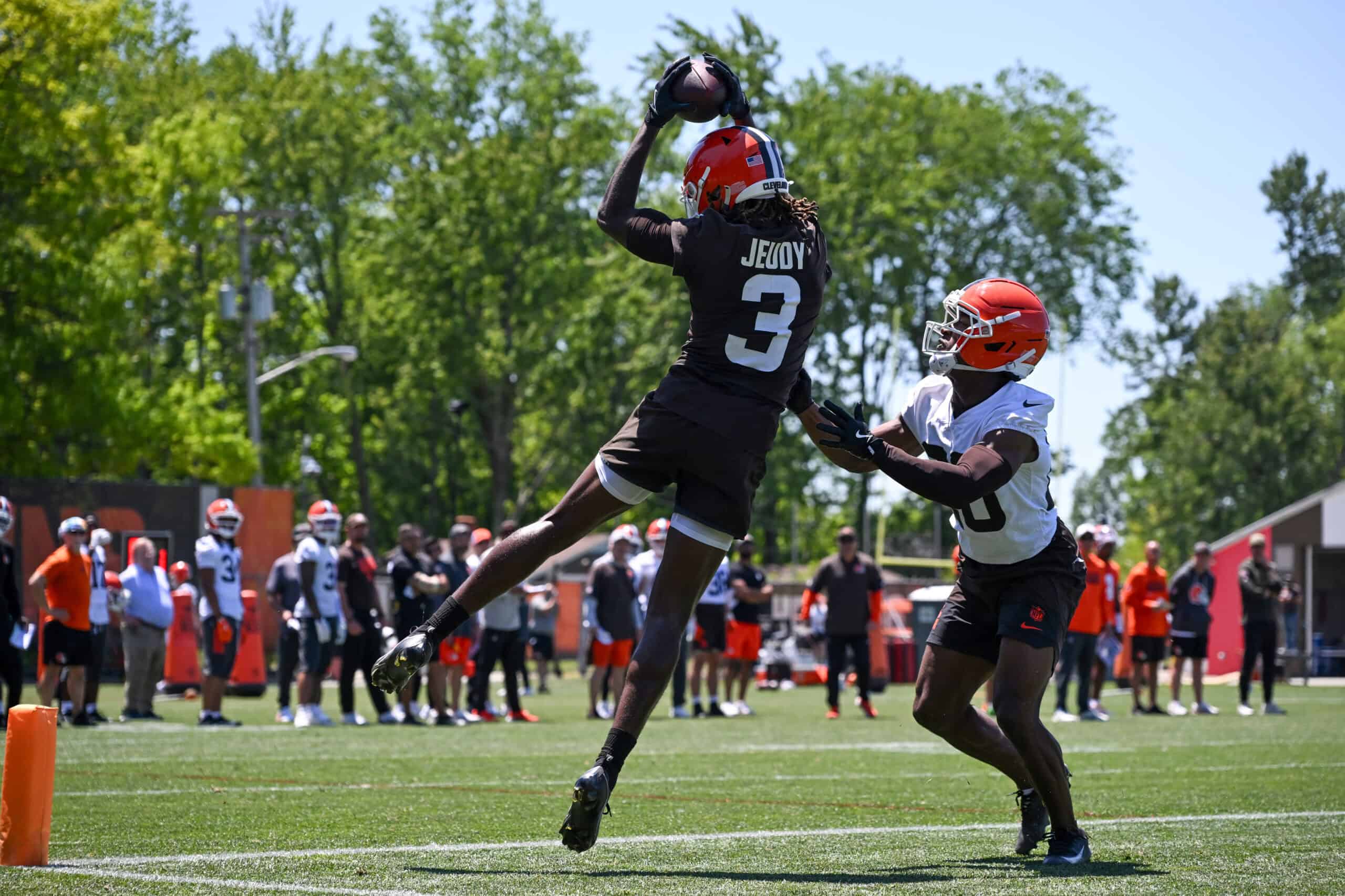 Former NFL Scout Believes One Browns QB Is Being Disrespected