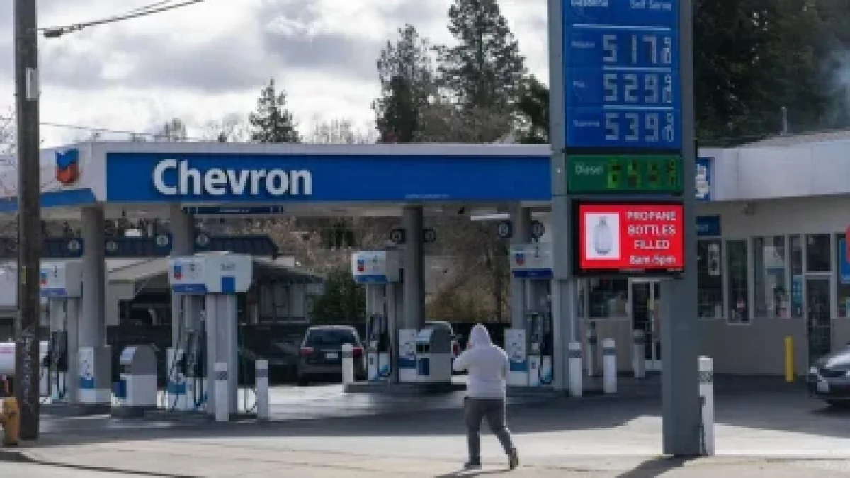 CBS News Staffers Strike in Bari Weiss’ Union Dispute - El-Balad.com