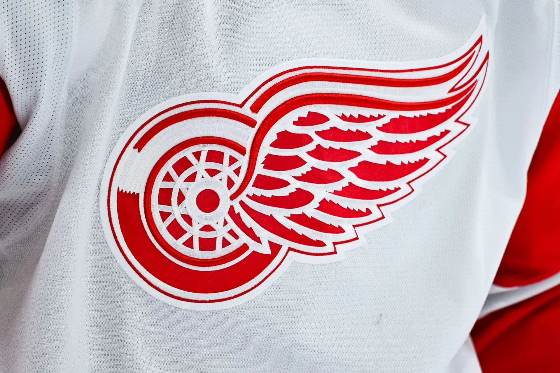 "Whole process has been bizarre": NHL fans react as Red Wings name Shawn Horcoff as interim GM