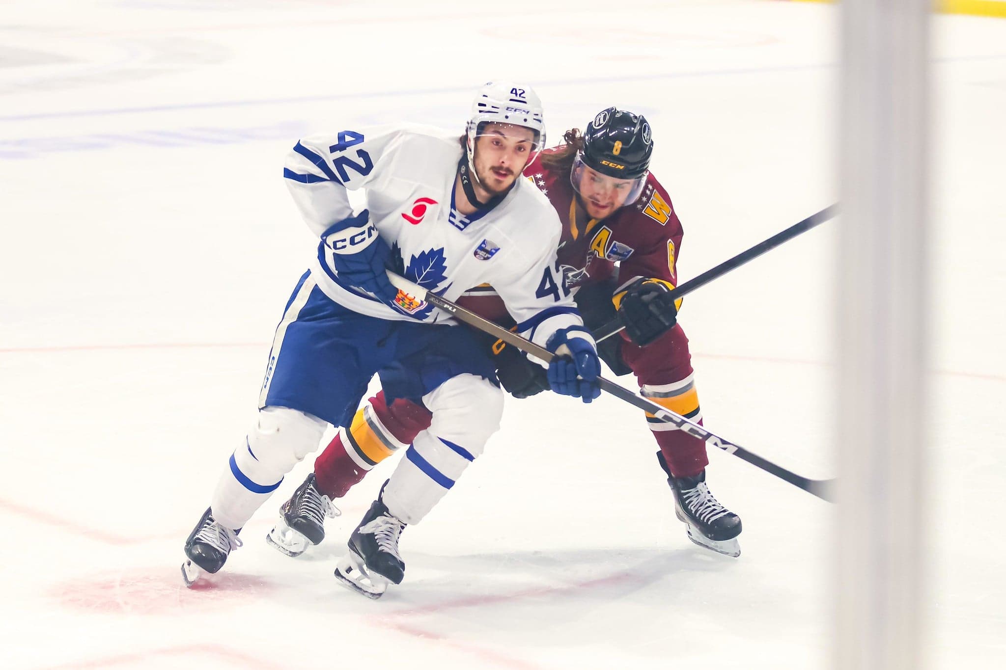 Toronto Maple Leafs News & Rumours: Landon Sim, Tinus Luc Koblar & Prospects Rising - The Hockey Writers - Toronto Maple Leafs - NHL News, Analysis & More
