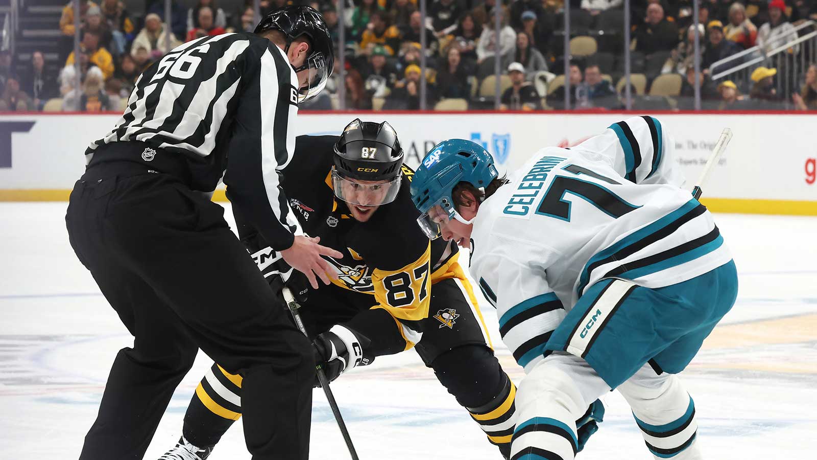 Sharks news: Macklin Celebrini compared to Sidney Crosby by agent