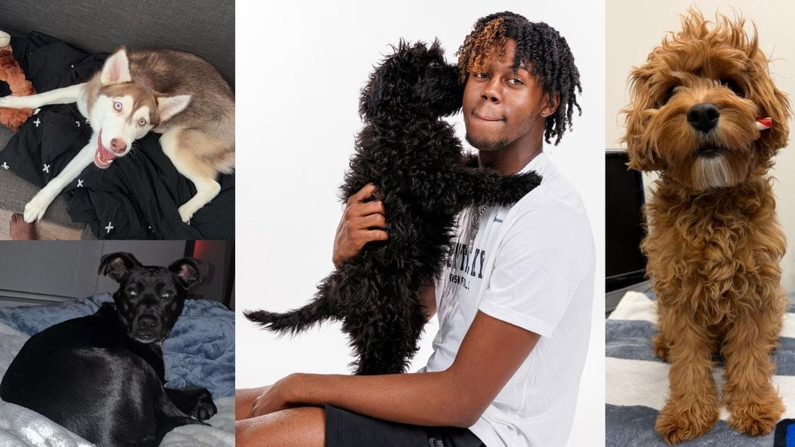 Kentucky basketball players love their dogs off the court | Lexington Herald Leader