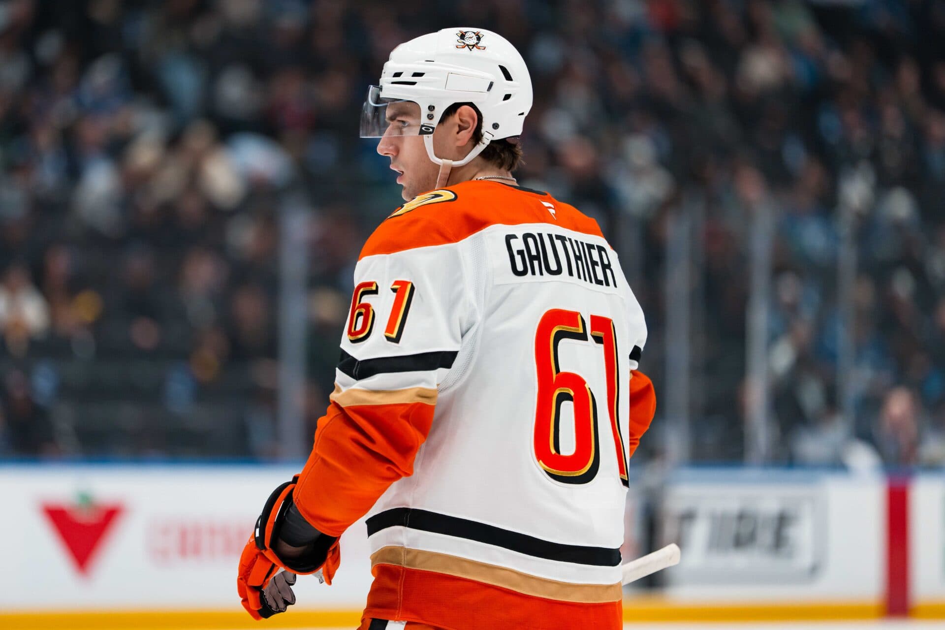 NHL fans shocked after Ducks sign Cutter Gauthier to $81M contract
